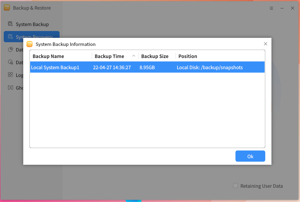 Fig 10 select backup -big