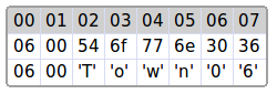 binary dynamic string